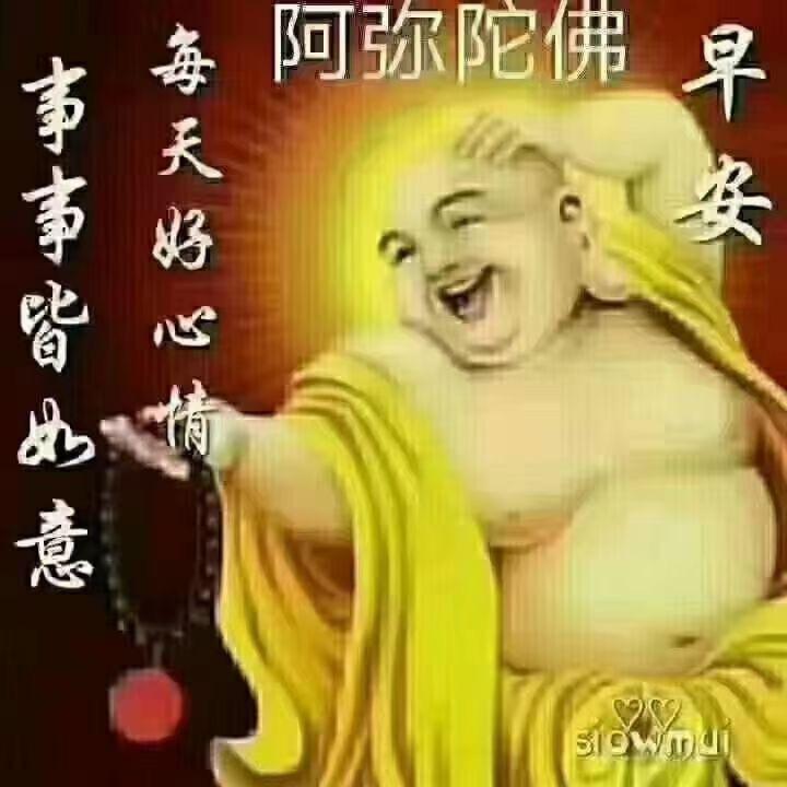 风生水起的小姐姐