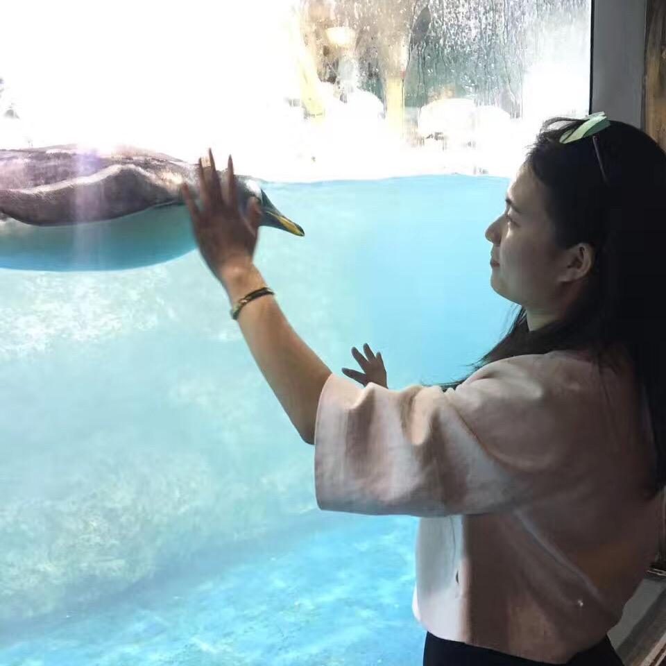 宸妈(首播筹备中)