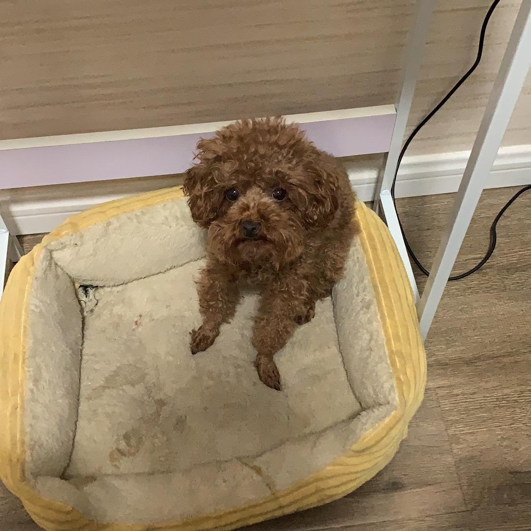 烨烨烨烨烨🐶