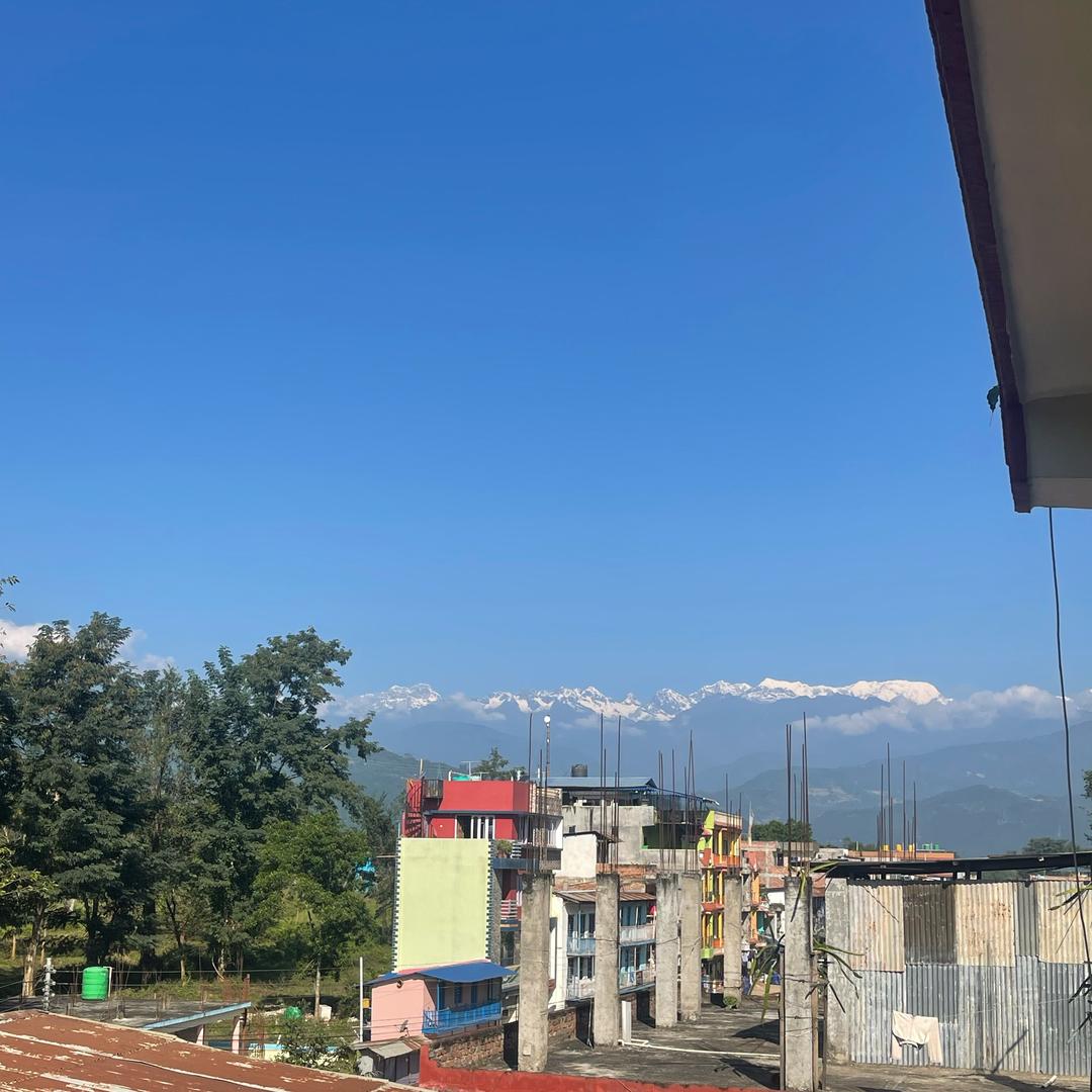 尼泊尔金刚菩提一手货源