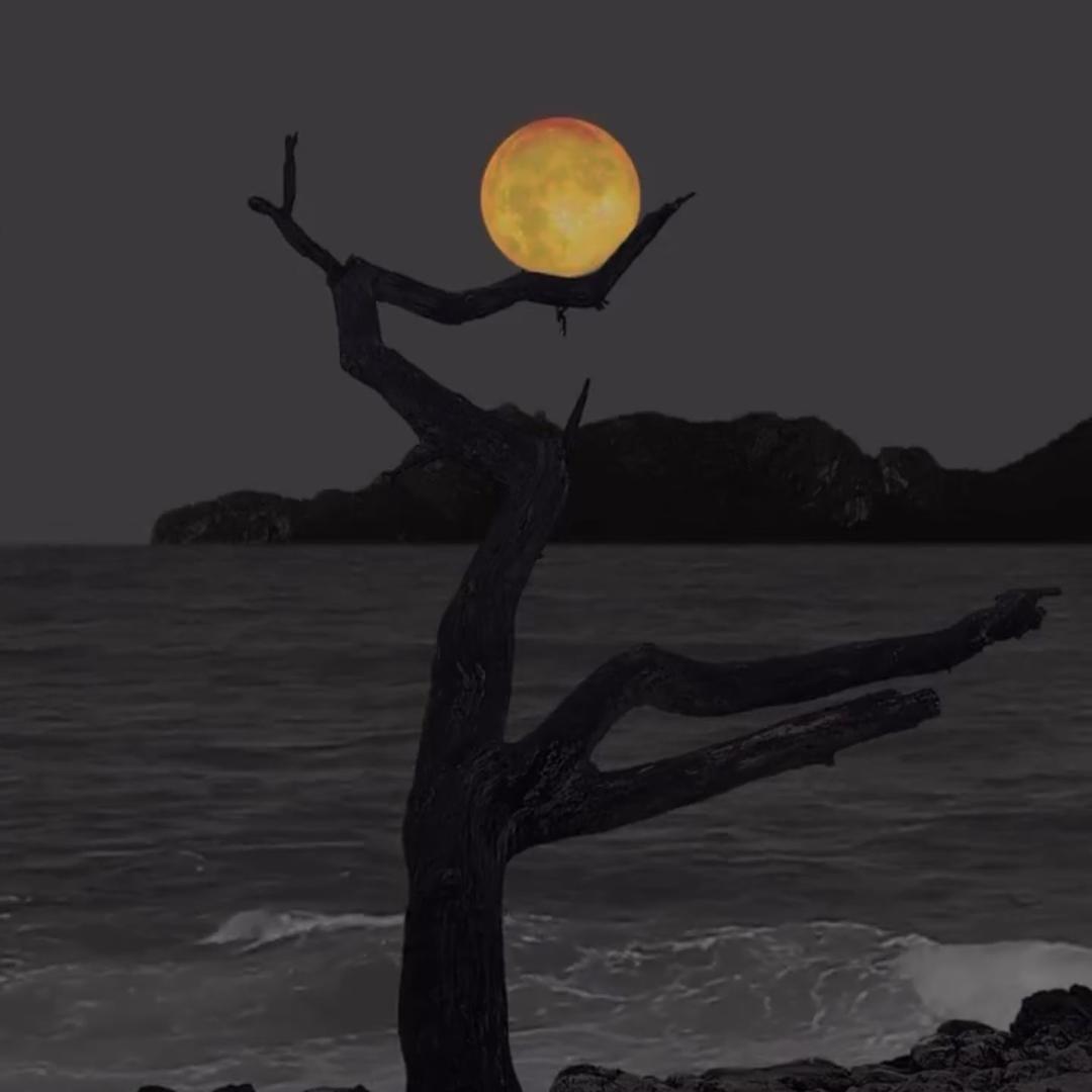 不纯