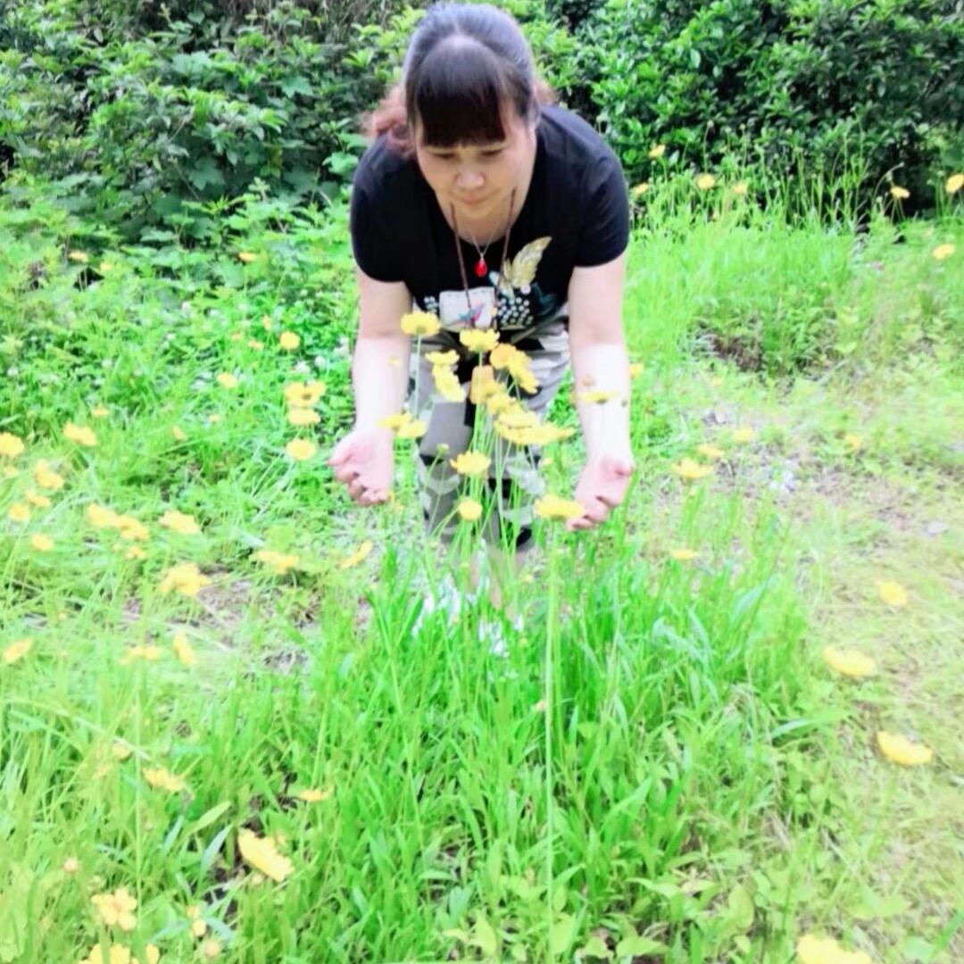 英子