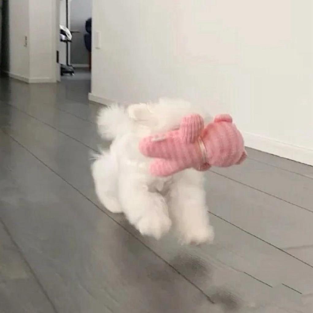 平凉独立设计师 武婷