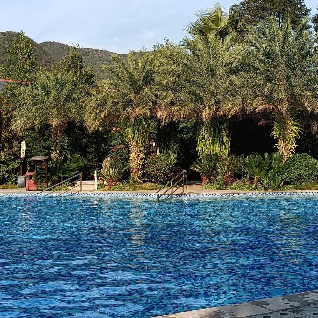 阳光总在风雨后