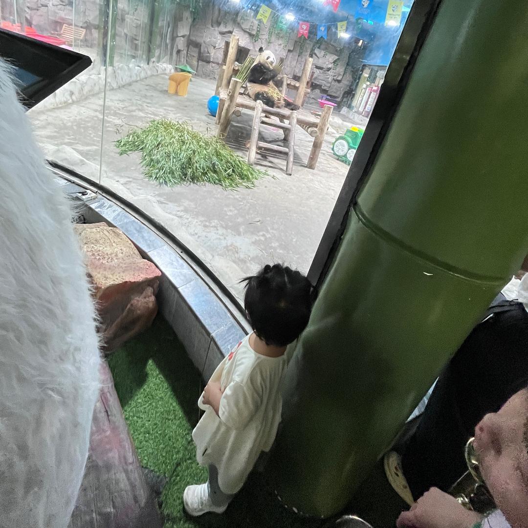 二建备考进行时