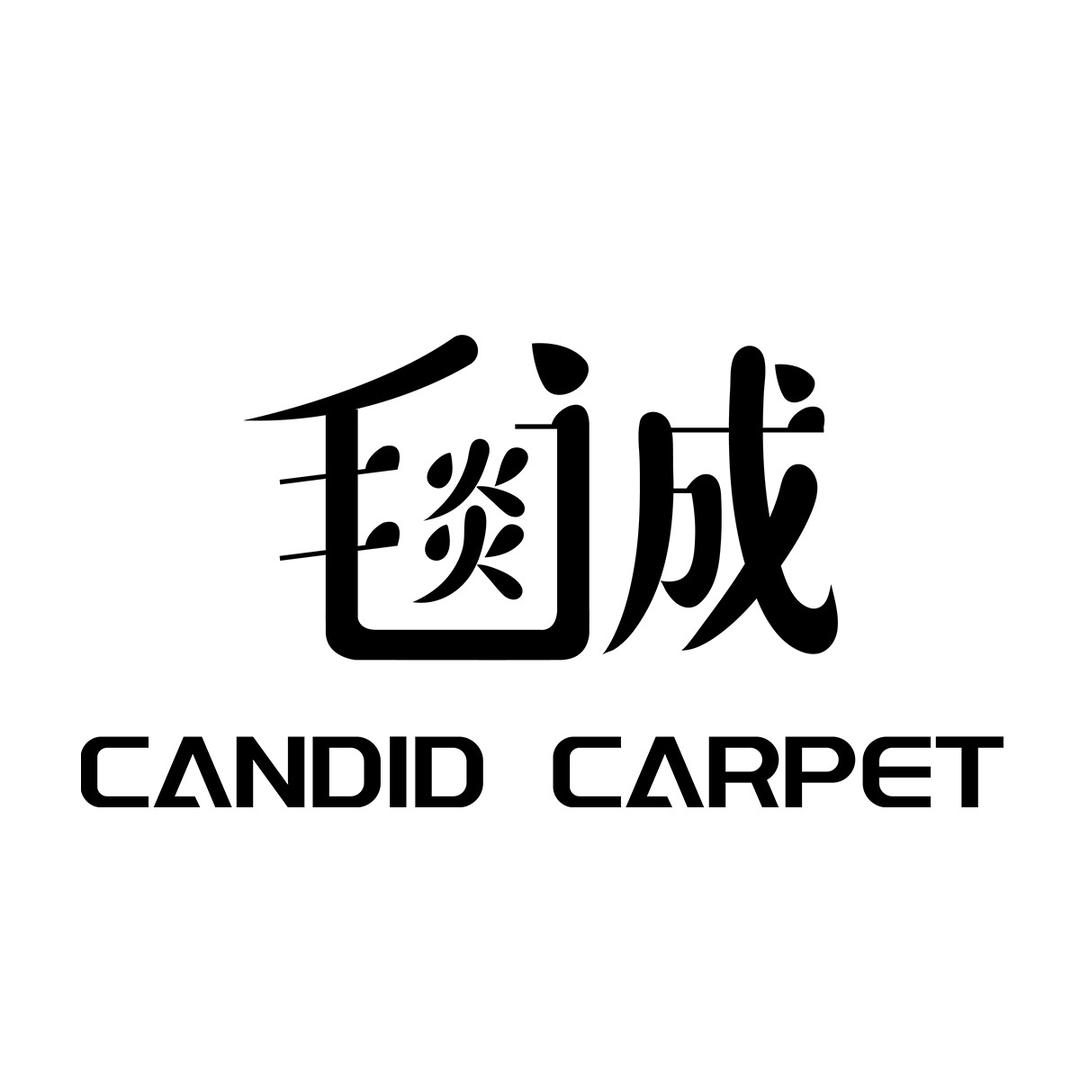 南京毯诚地毯