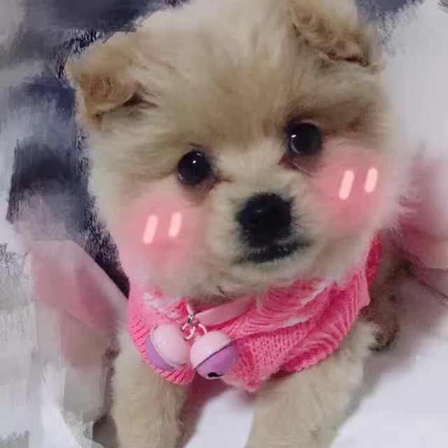 微风伴我寻觅你