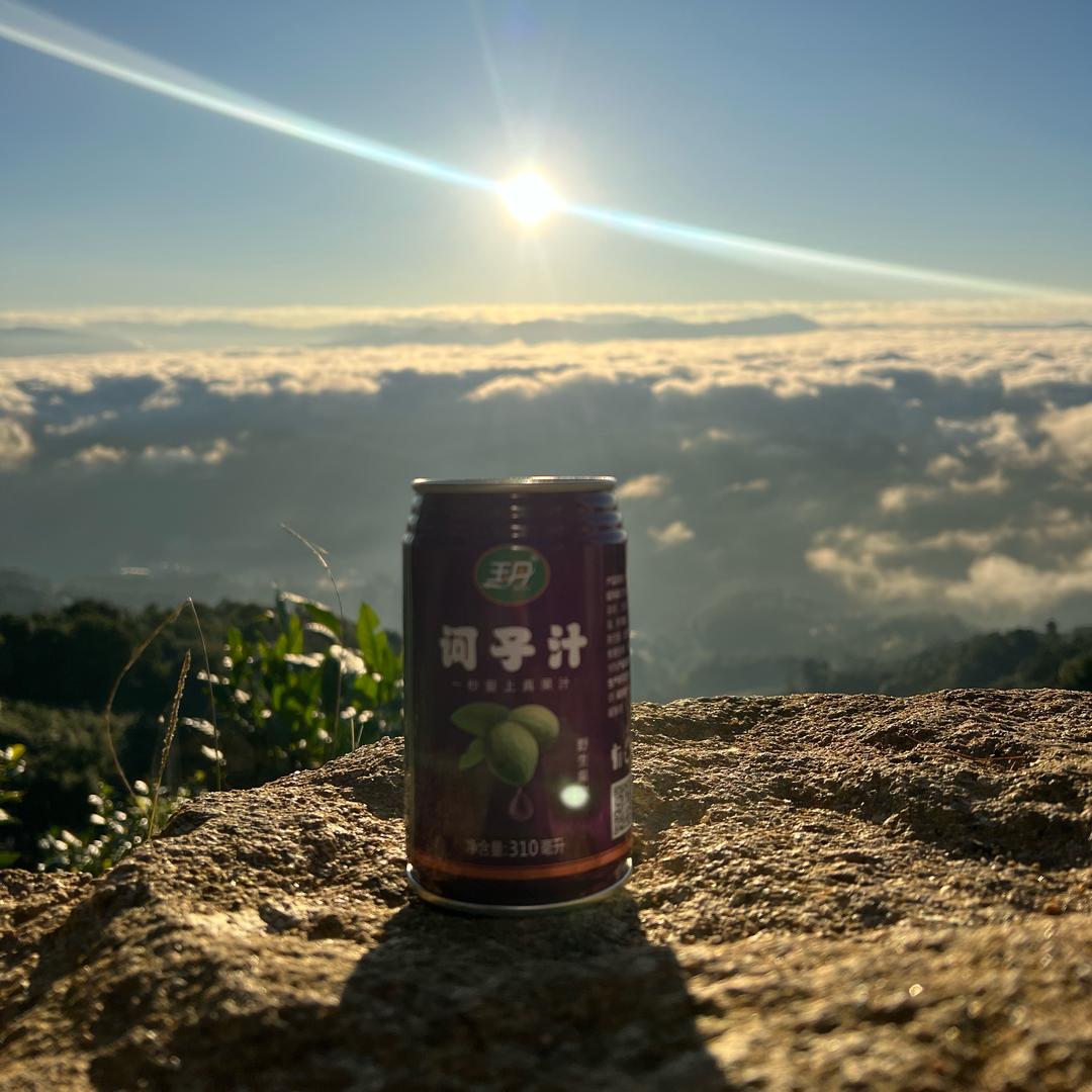 墨成李