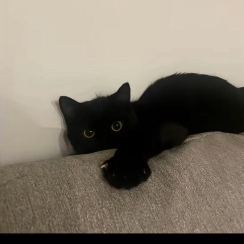 1秒