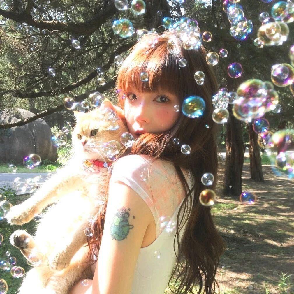 奈菜菜