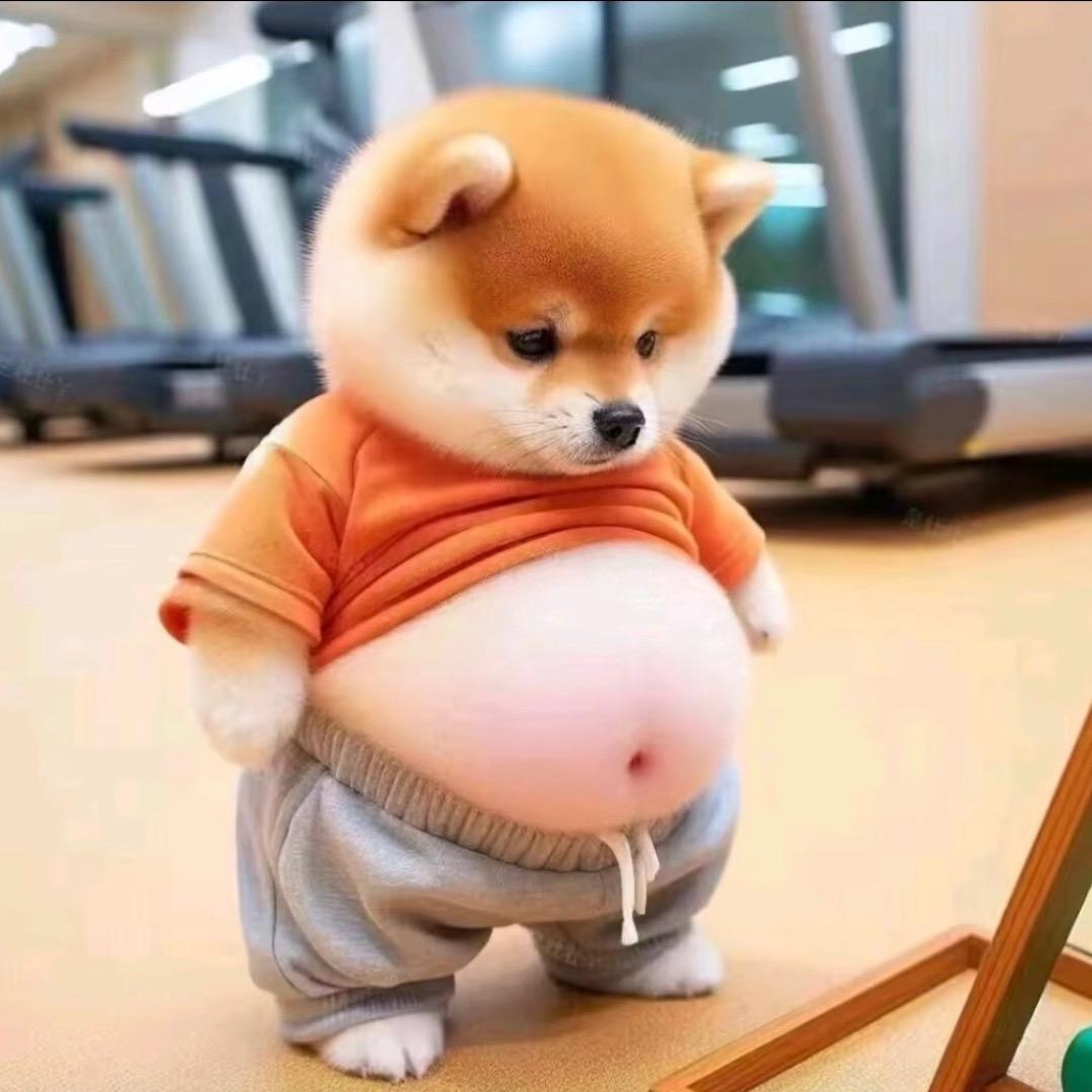 富平一哥╭(╯ε╰)╮田家大少爷