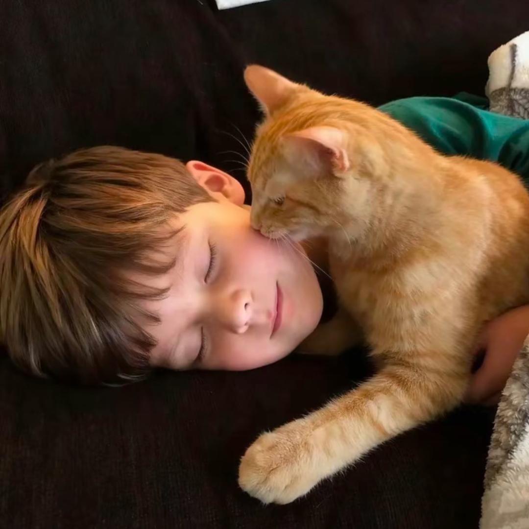 ㅤㅤㅤㅤㅤㅤ八两