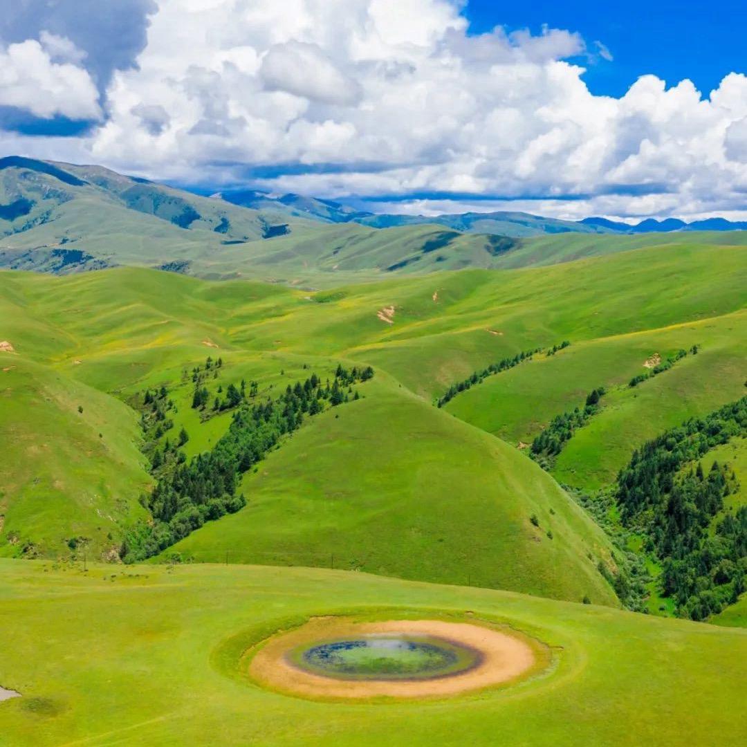 🥷🥷忍者无谓🥷