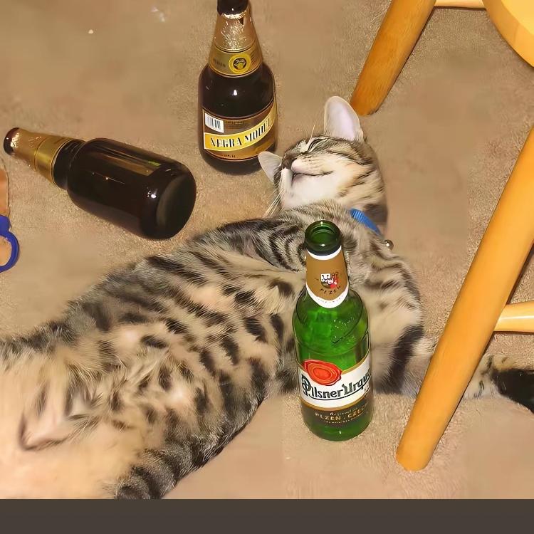 悠悠贝贝好物