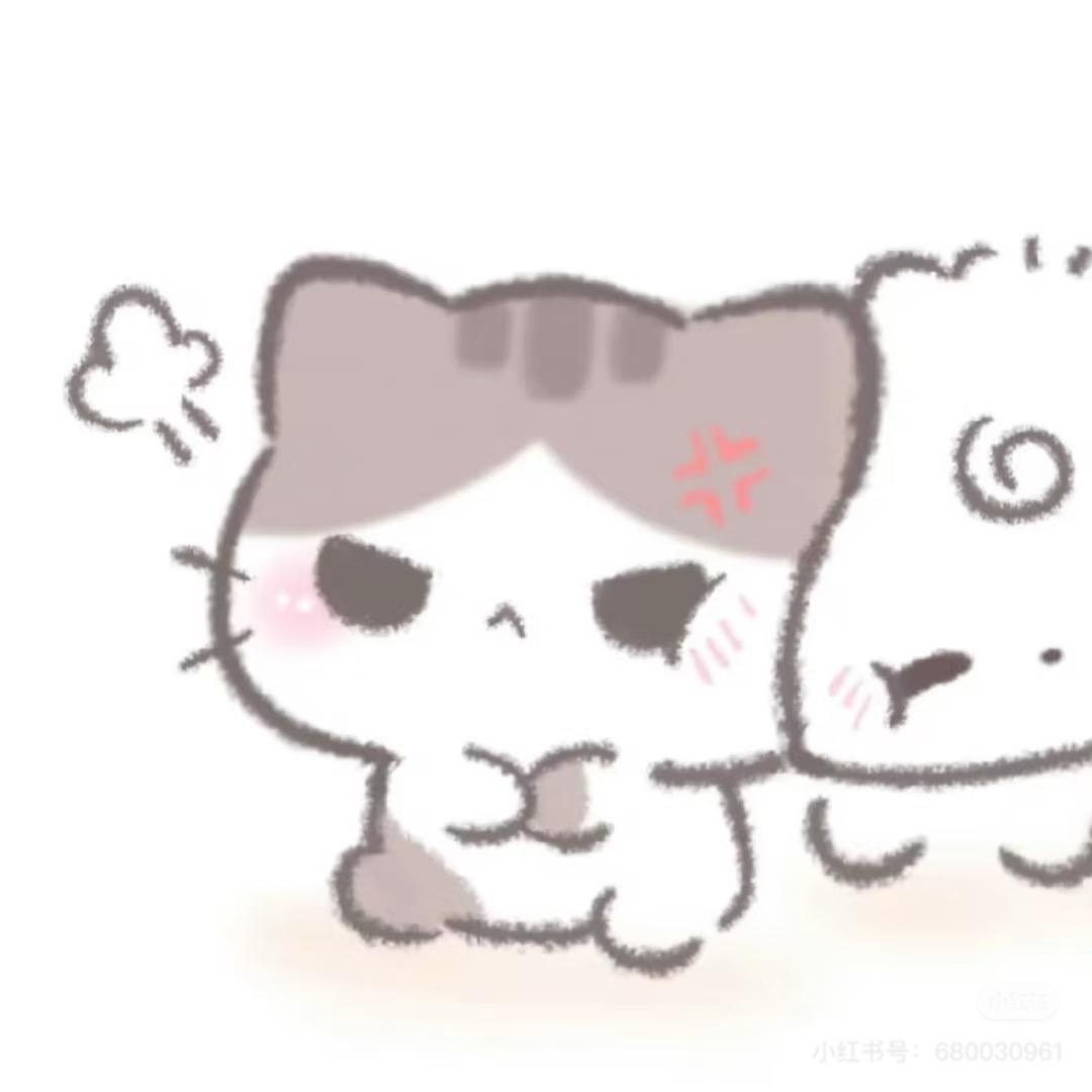 不爱萝卜的兔子🥕