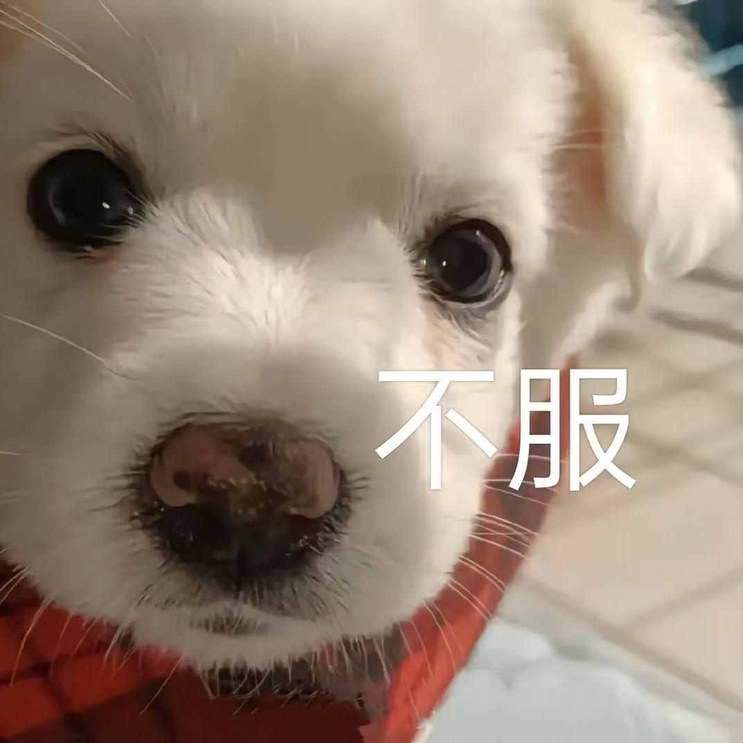 黎礼