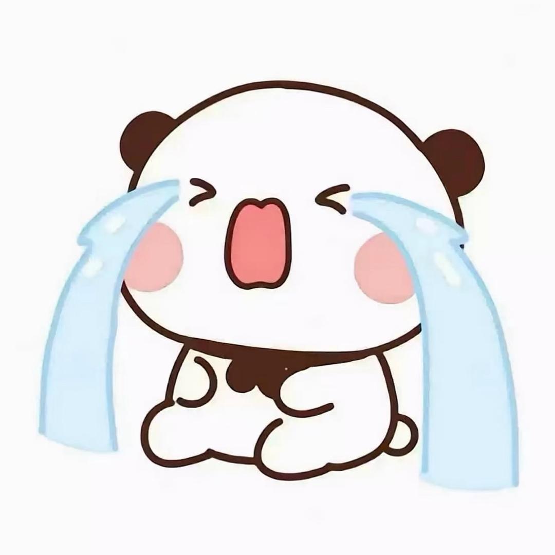 猫咪纹