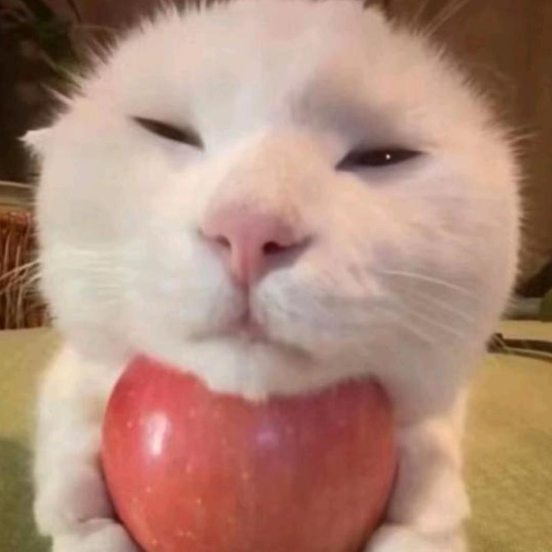 ie