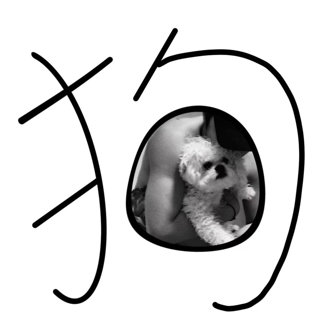 卖女孩的小🔥柴