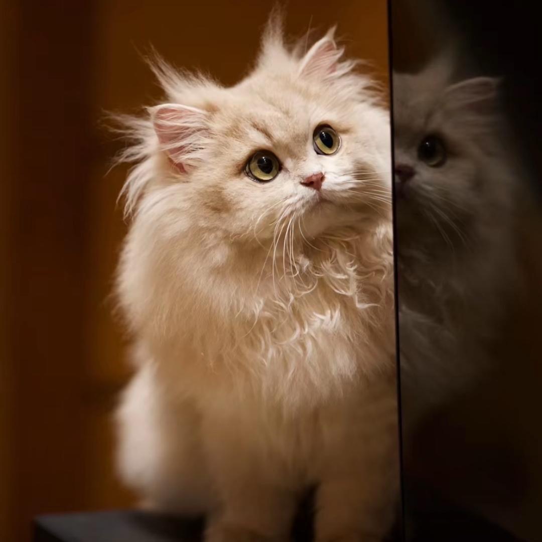 5114