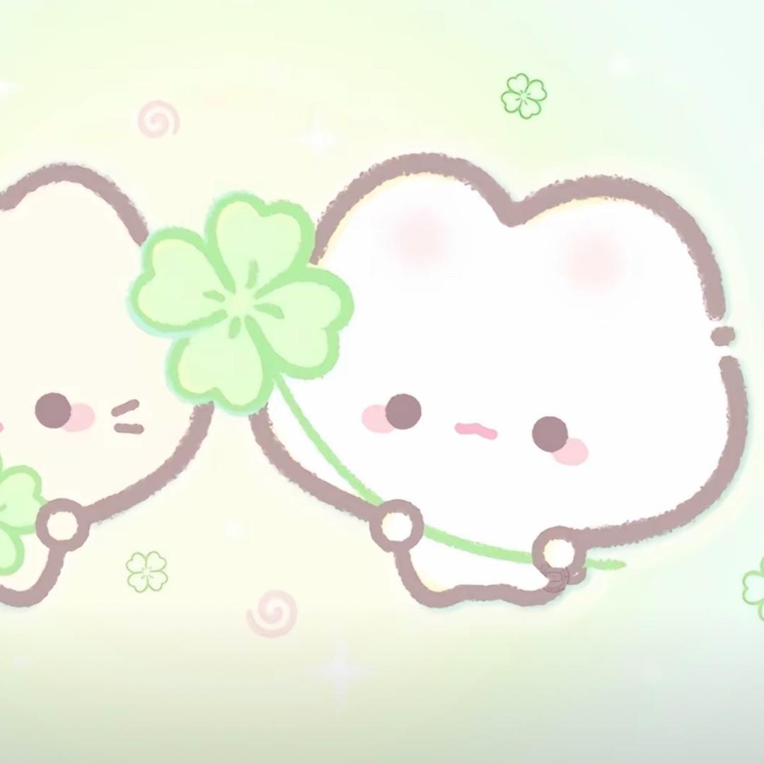 养只猫