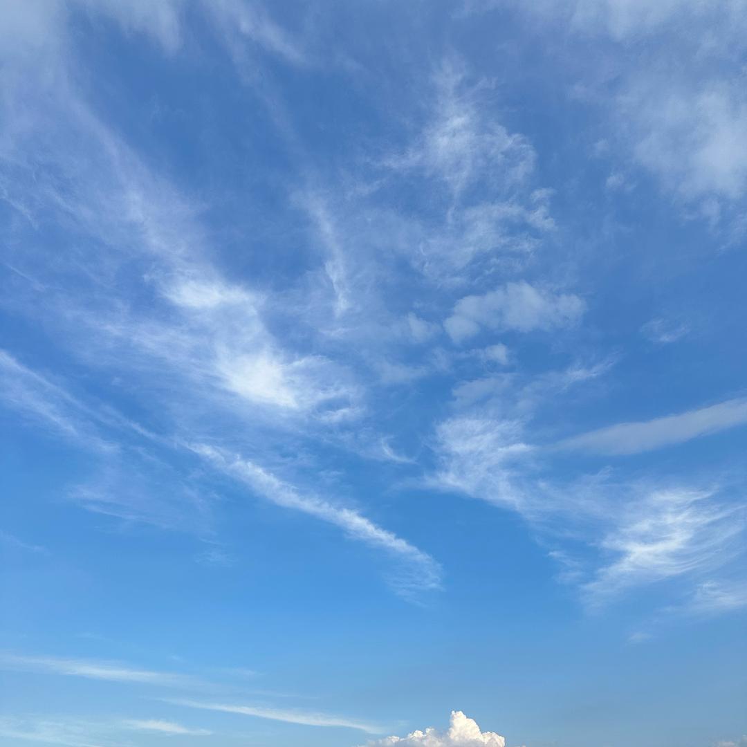 小菲菲