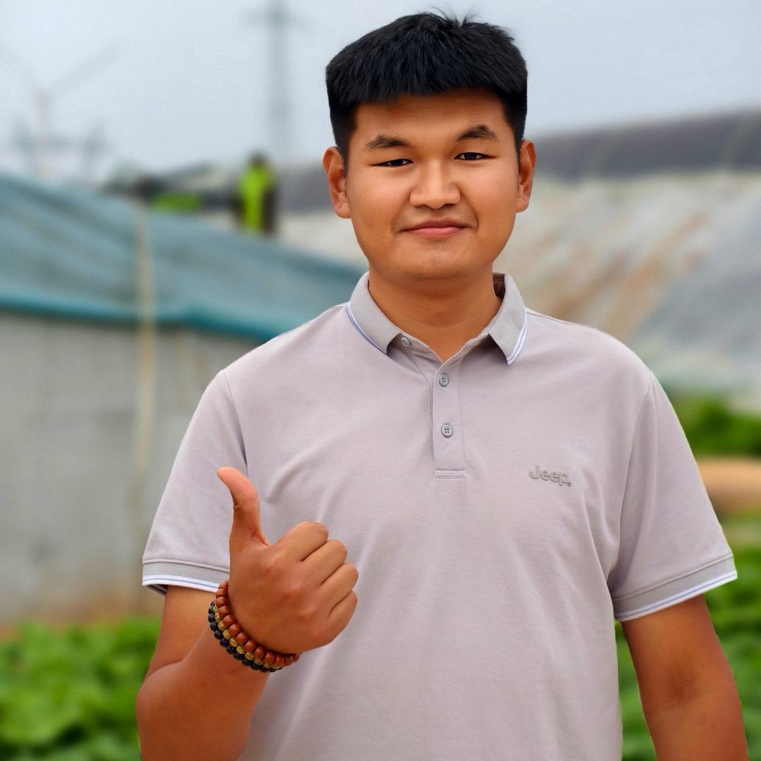 新农人力鹏