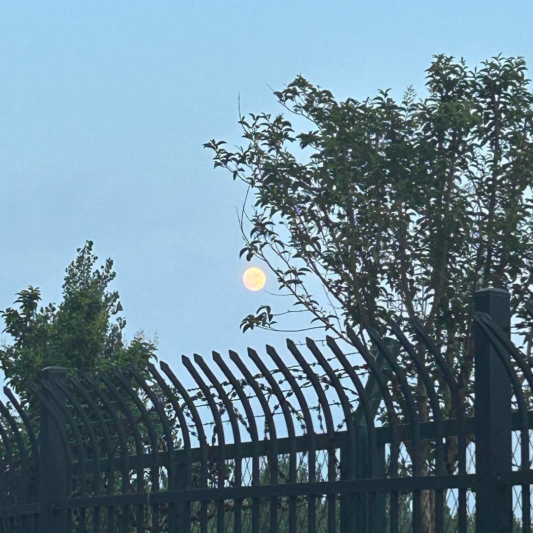 ——wan🧘🏻‍♀️