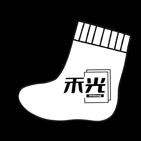 禾光体育生