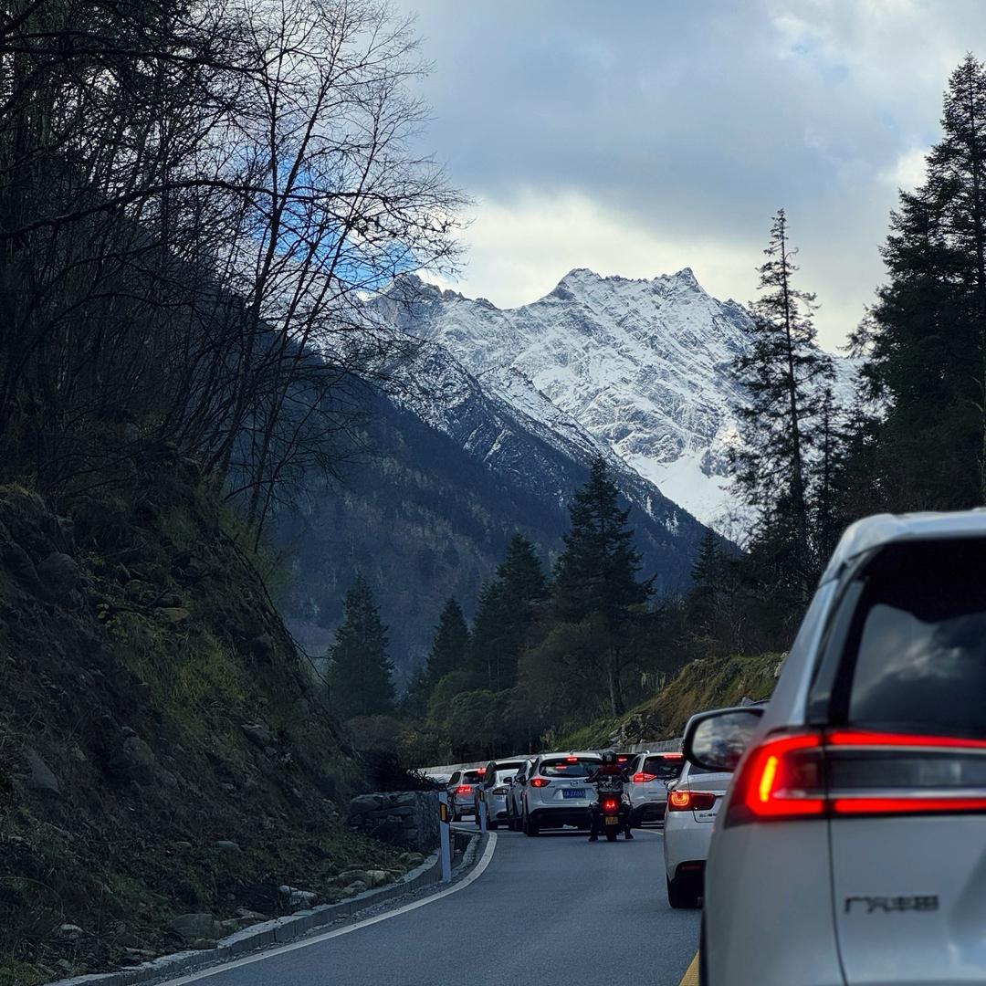 走开，不要过来咬我