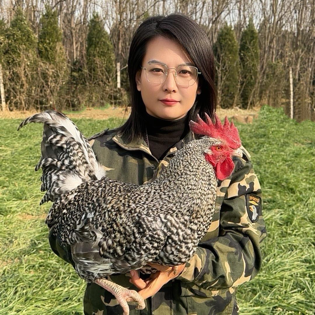 王大胆（王晴）