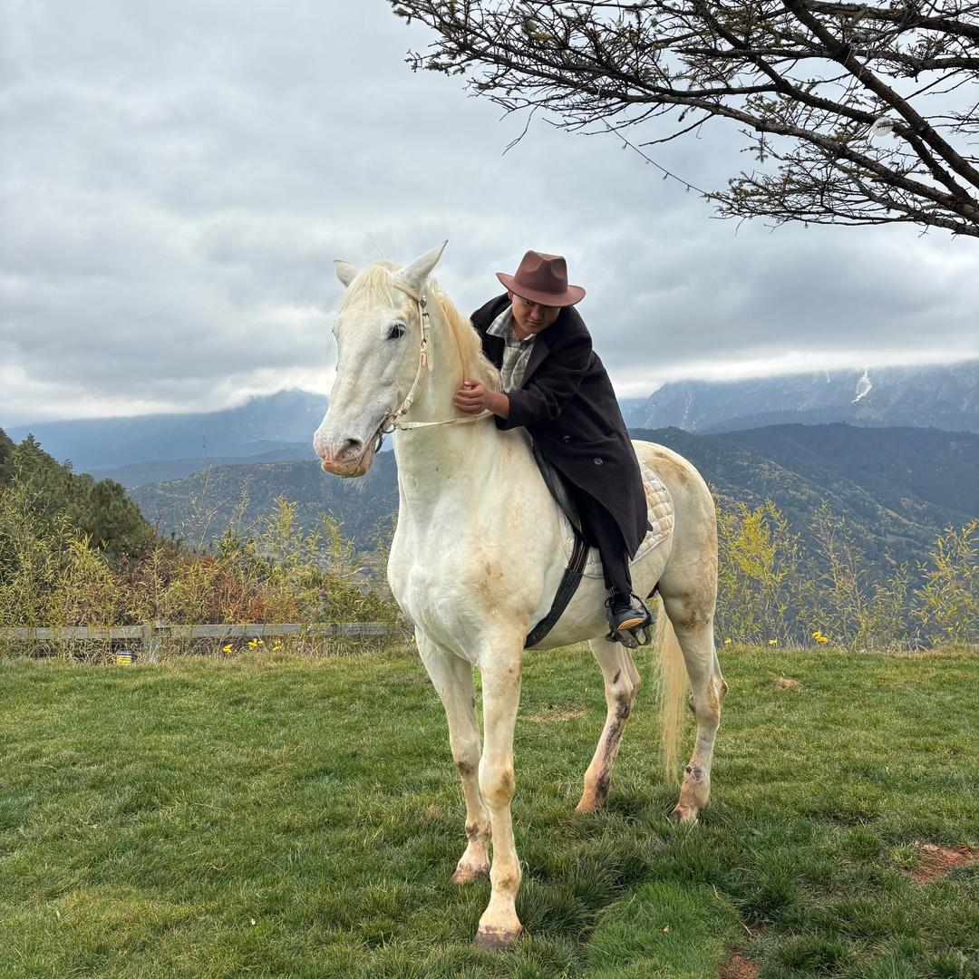 婚礼策划师—子乔