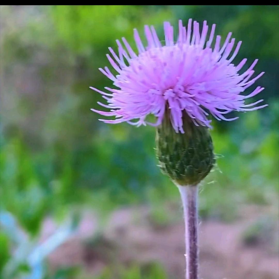 🙏士兵突击🇨🇳