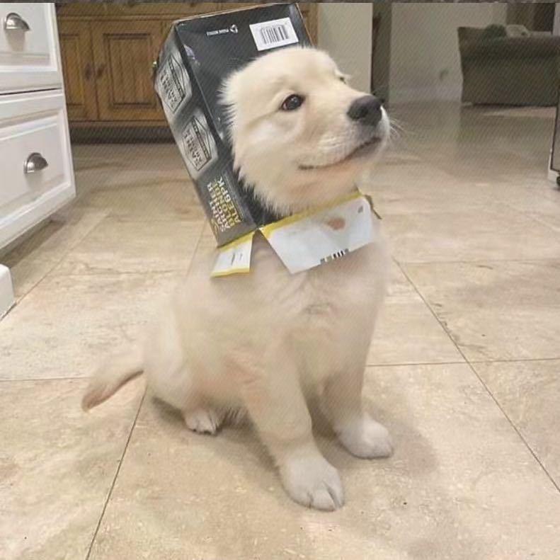 下周一