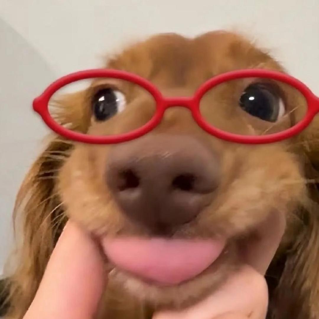 小萌活珠子