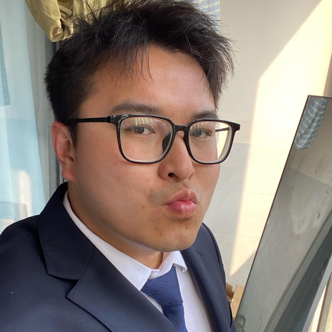 疾风亦有归途