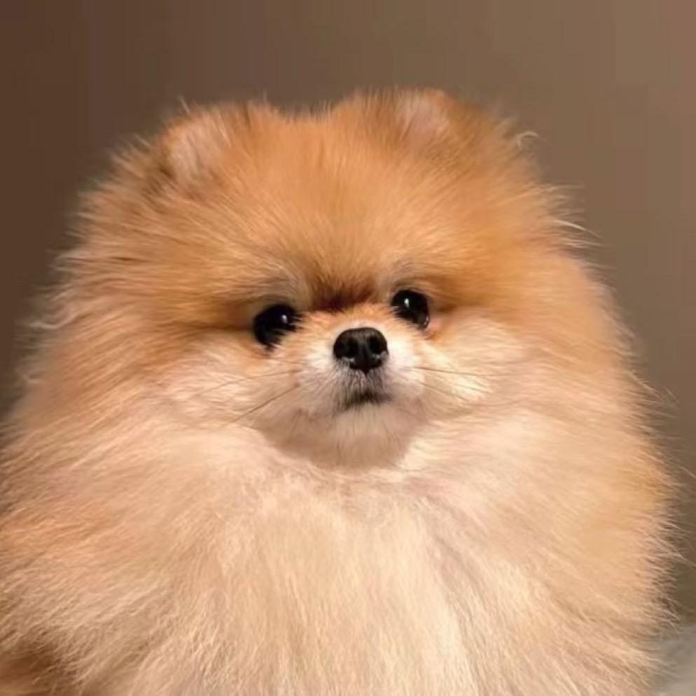 dotdot🦴