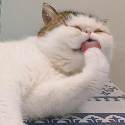 叮咚叮咚叮咚