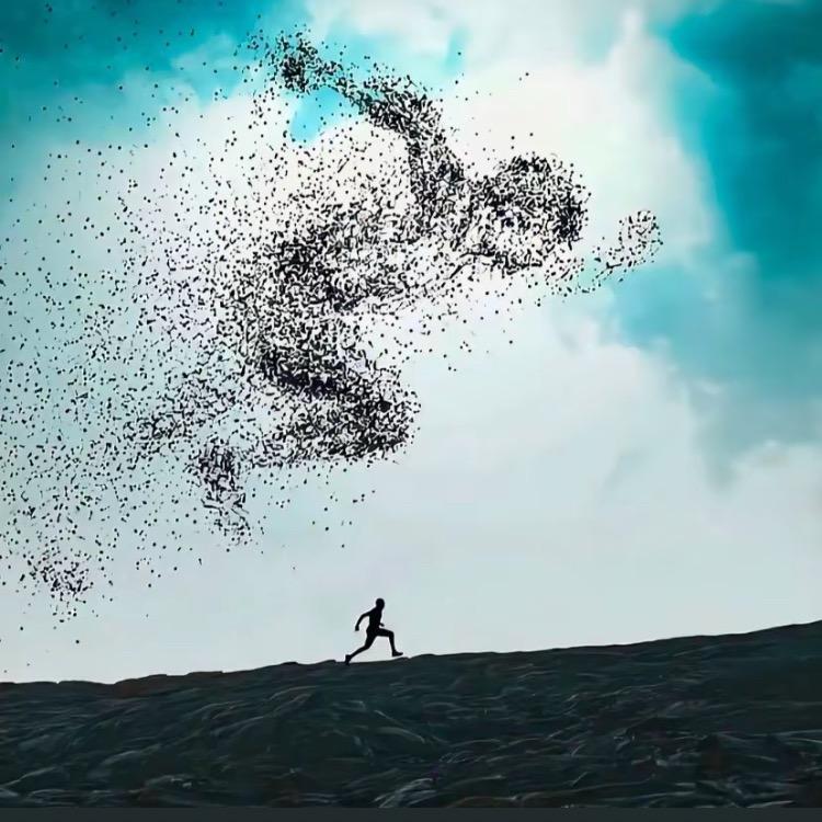 逸跑凯歌【进阶跑】