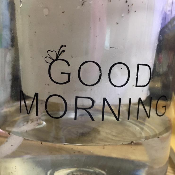 陈心然