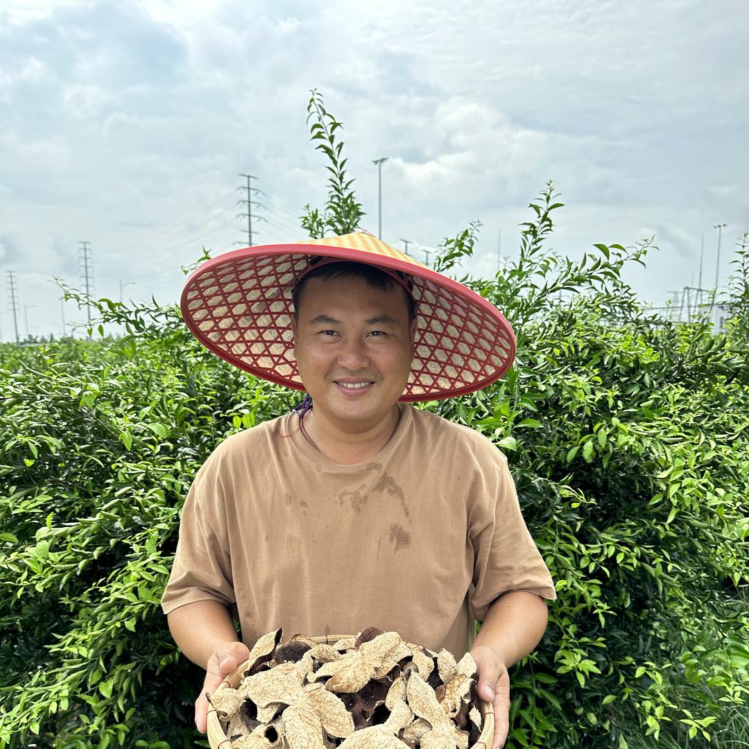 新会荣哥果农陈皮