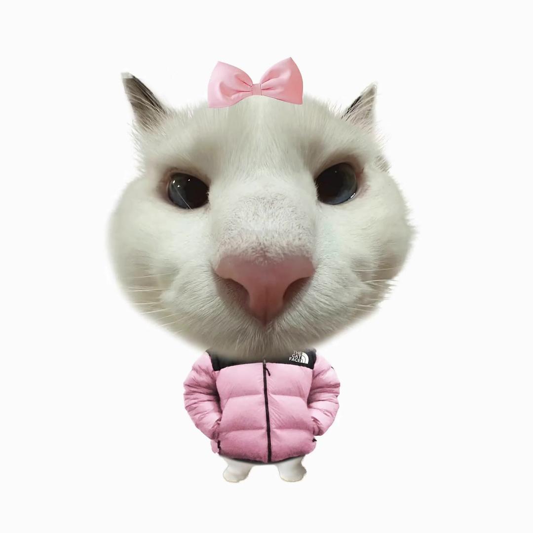菠萝宝