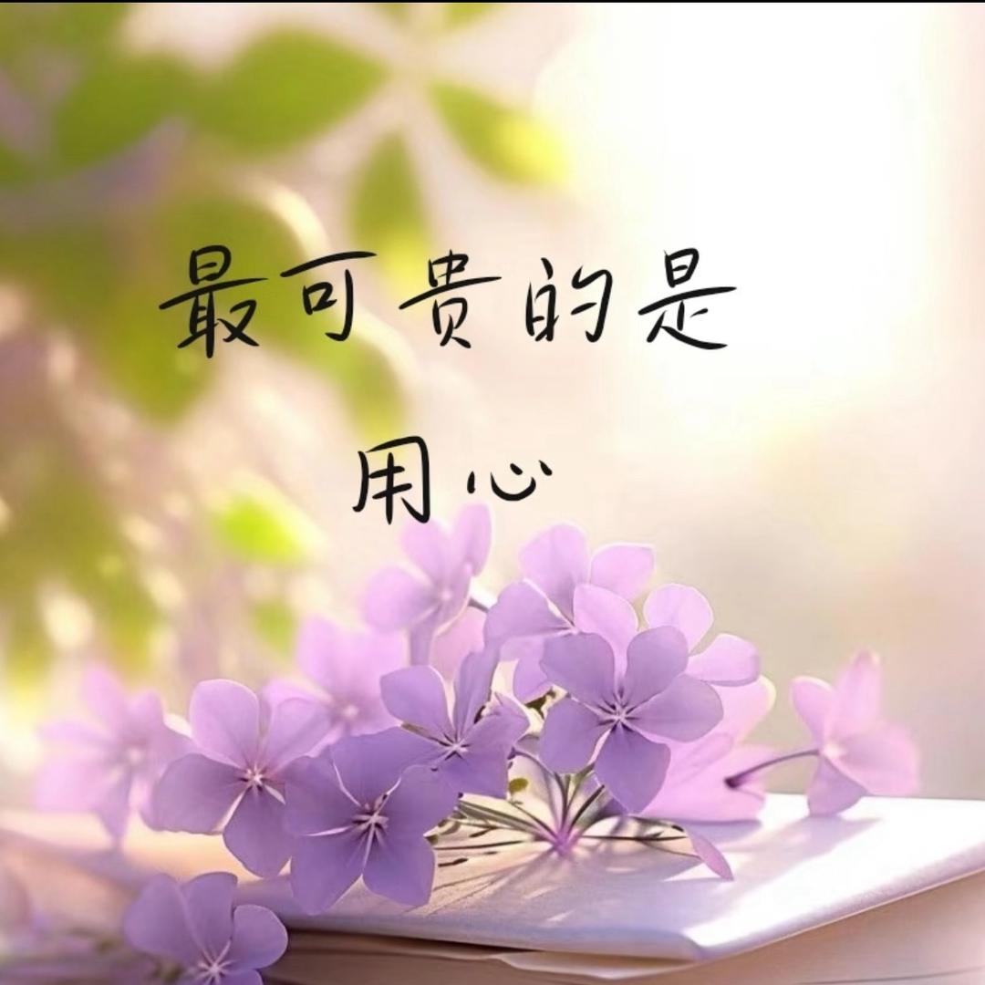 摆摊的佳佳
