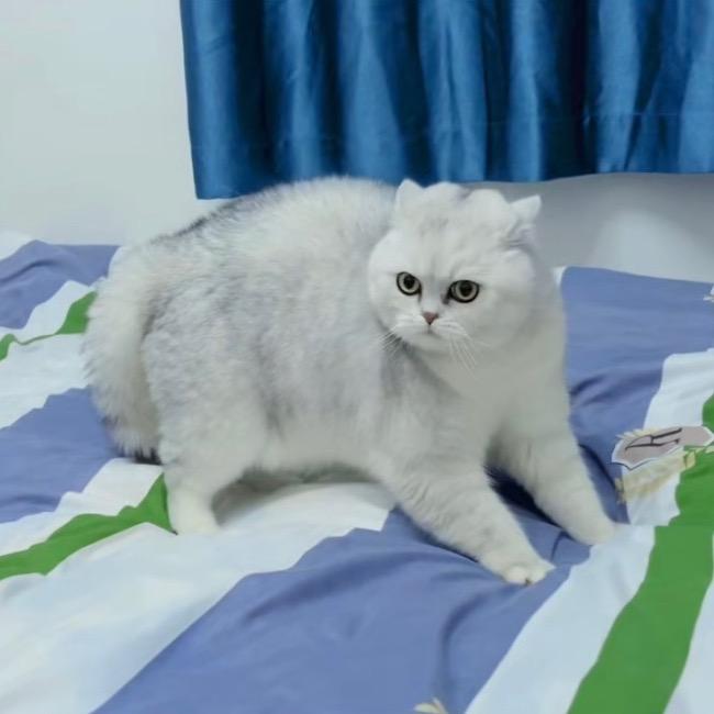 陌...