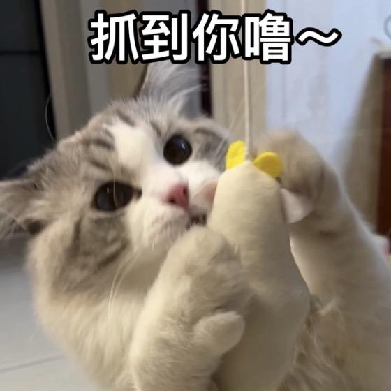 芙堡的日常