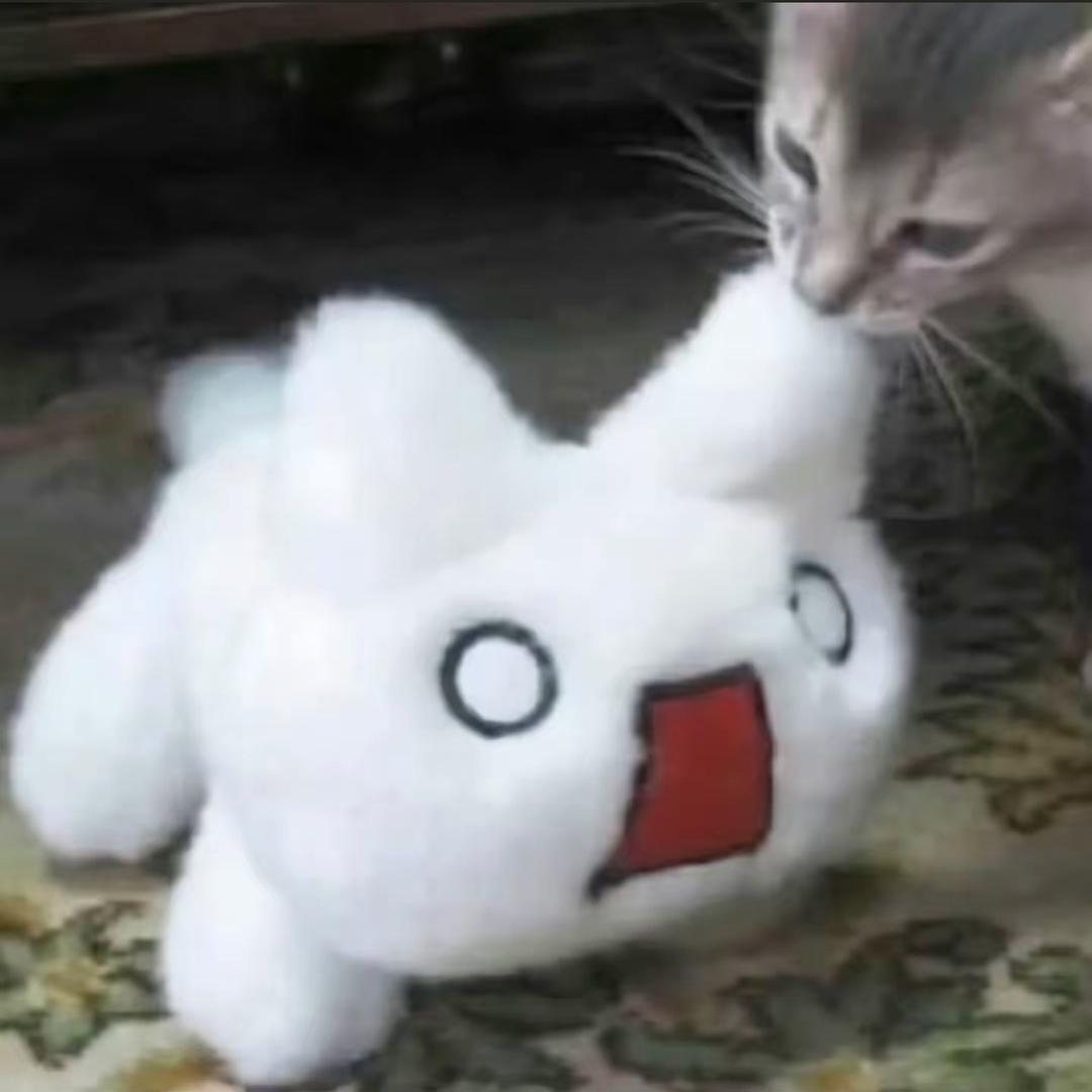 大和野子