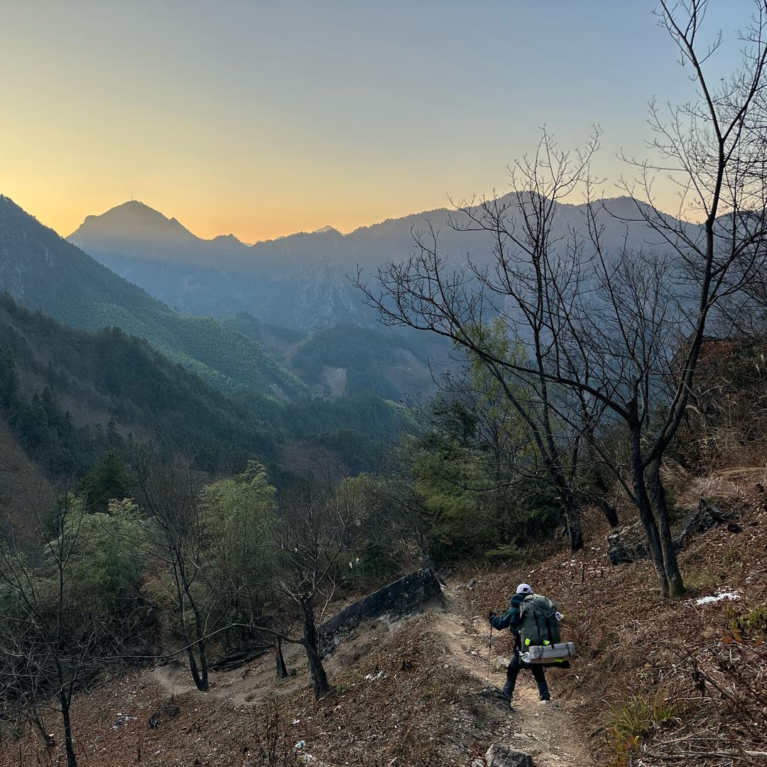 爱徒步的阿尼亚