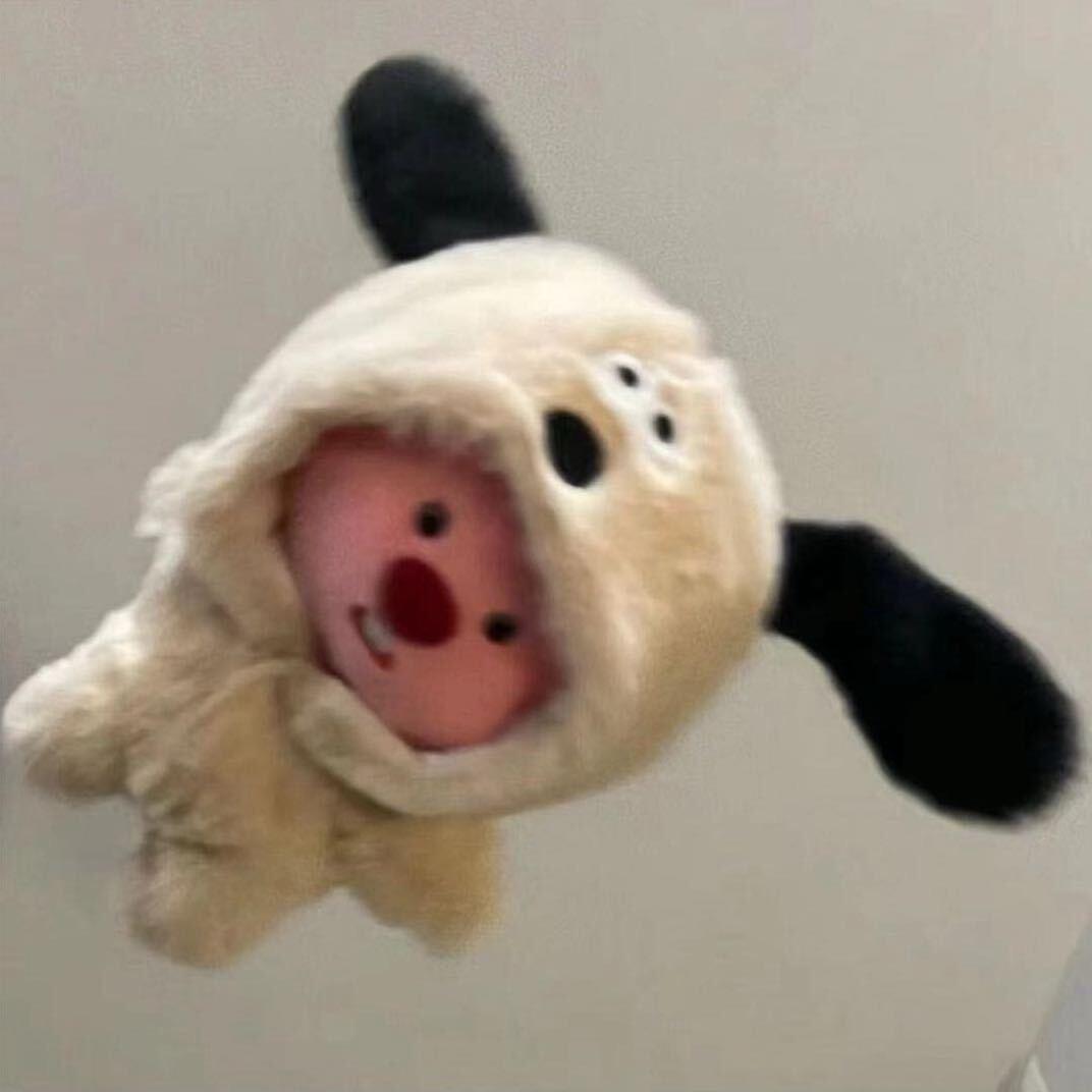 李敢敢