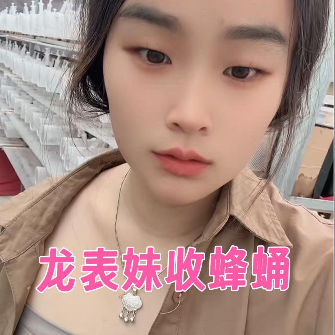 龙表妹(收蜂蛹)