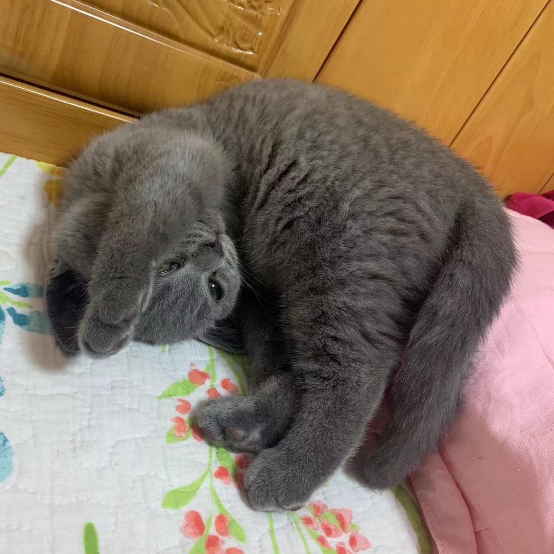 八零后的记忆